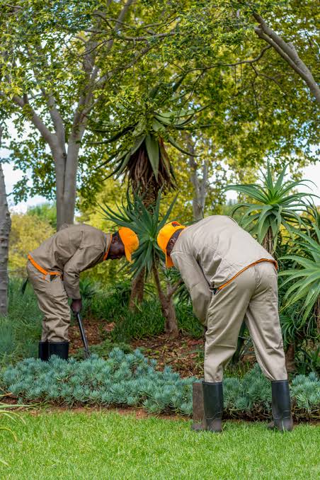 Gardening and housekeeping services in Cape Town